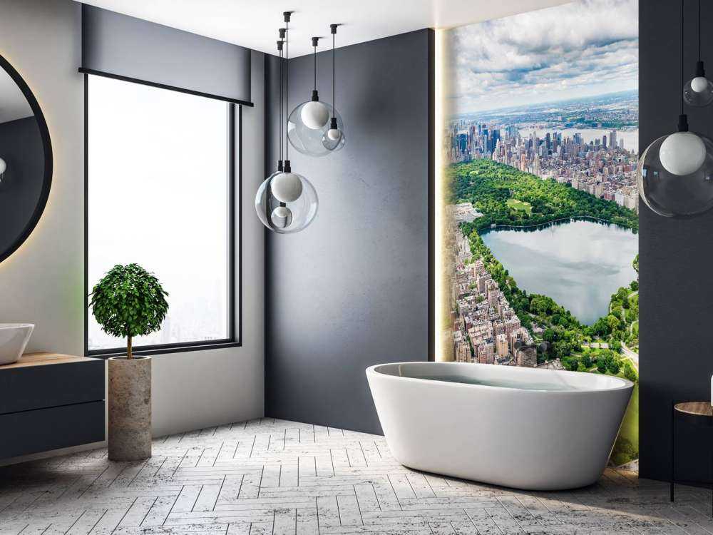 Skyline with Central Park