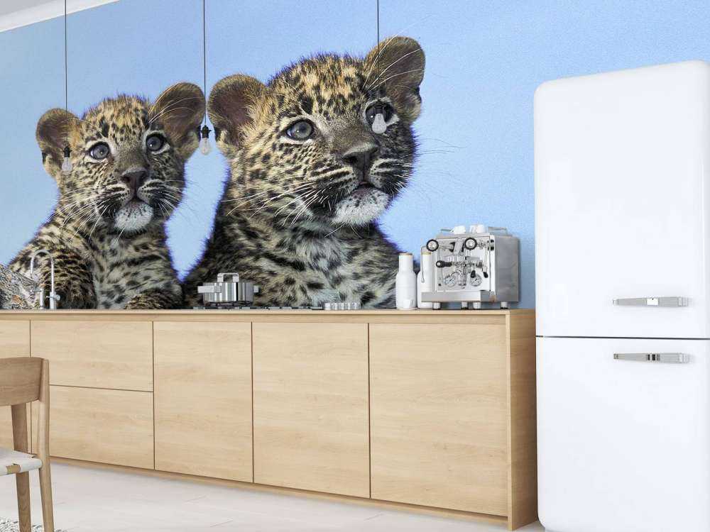 Small leopards