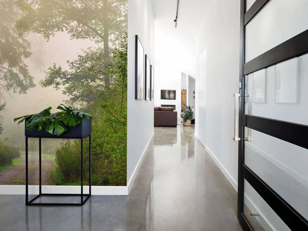 Road through foggy forest