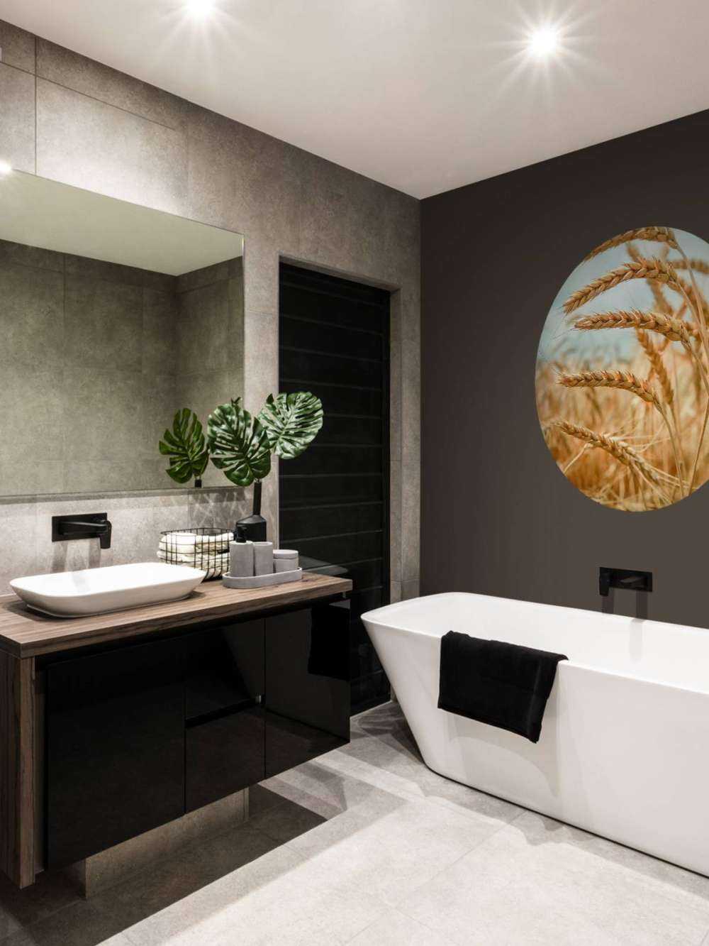 Close up of a cereal plant