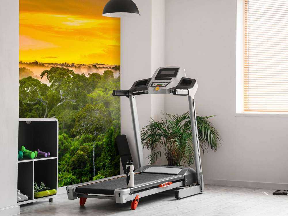 Rainforest in Brazil 