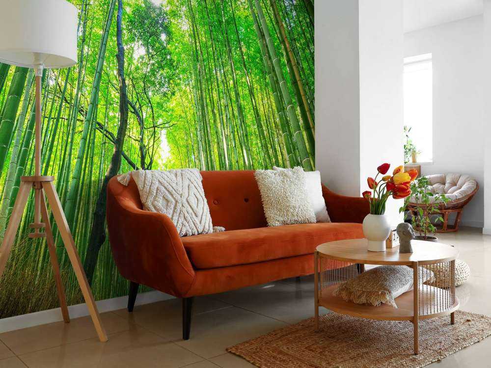 Bamboo forest of Arashiyama