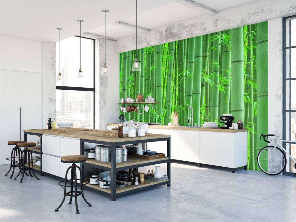 Closeup bamboo forest