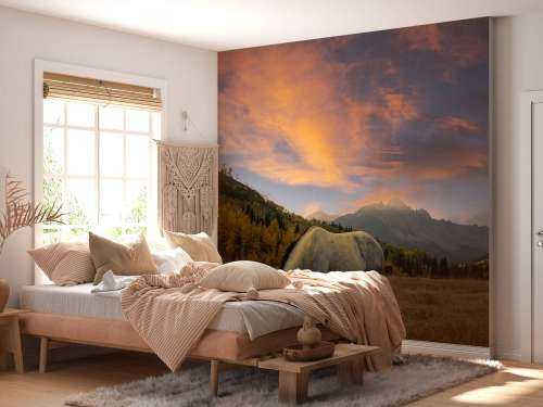The Paradise