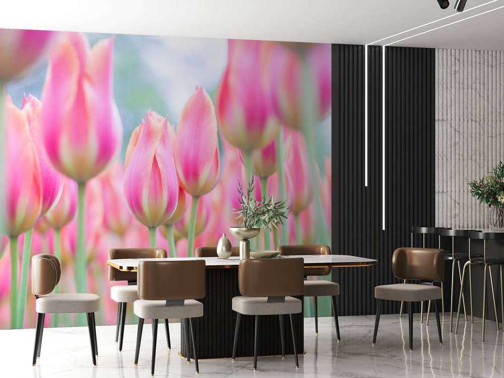 Close-up pink tulips