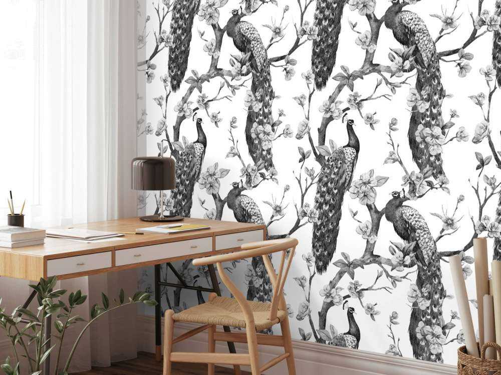 Monochrome Peacock Splendor