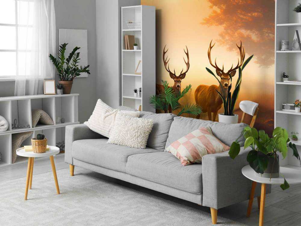 Morning Glory Deer Splendor