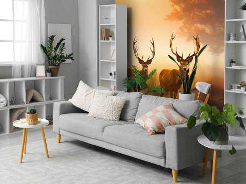 Morning Glory Deer Splendor