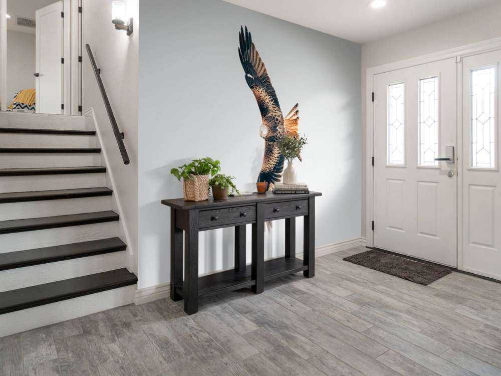 Red kite with wings spread