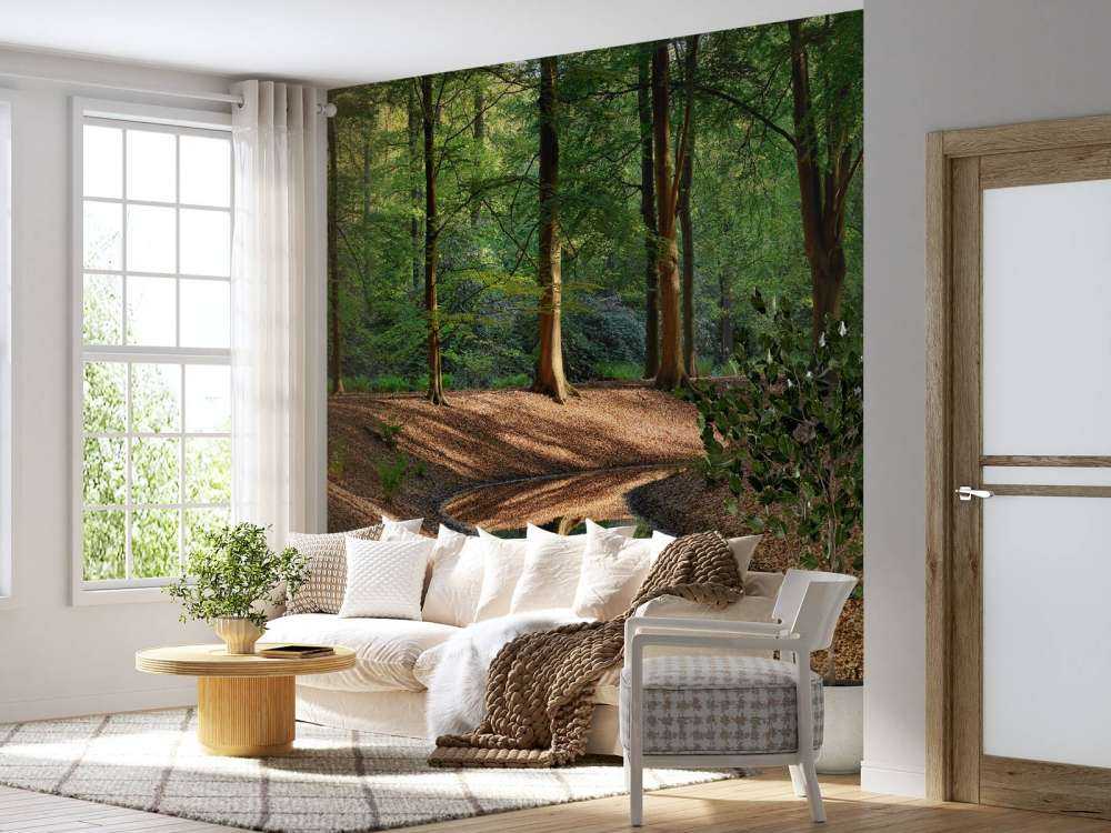 Brooklet in the forest 