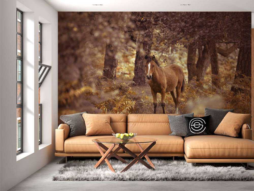 Horse in the wilderness