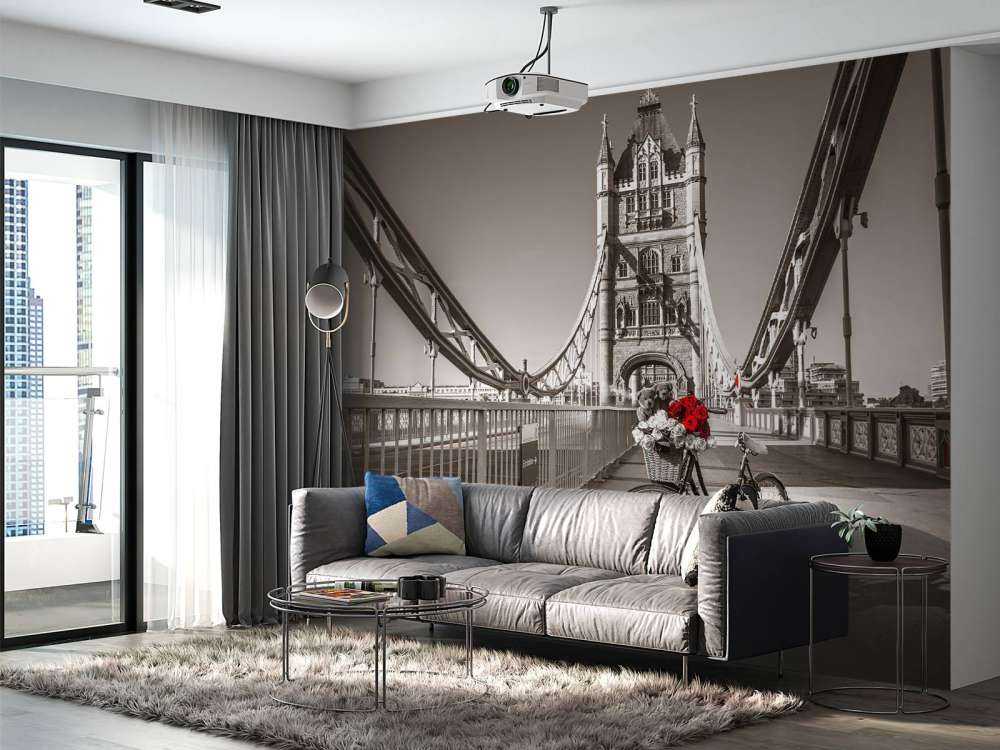 Puppies in a bicycle basket