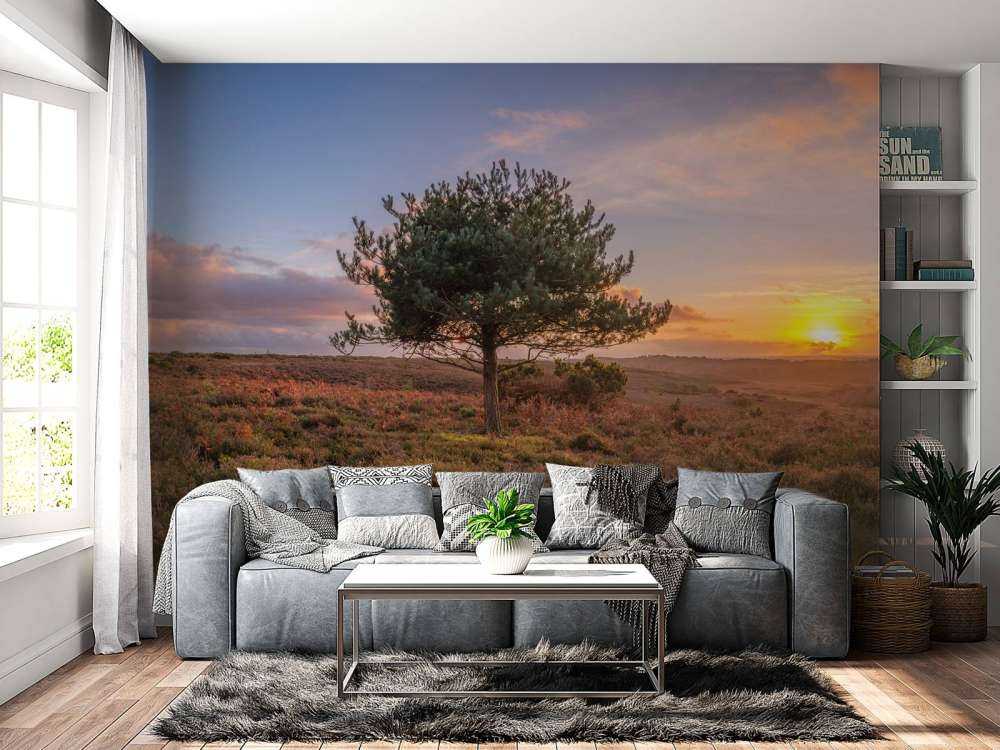 Sunset at a deserted area