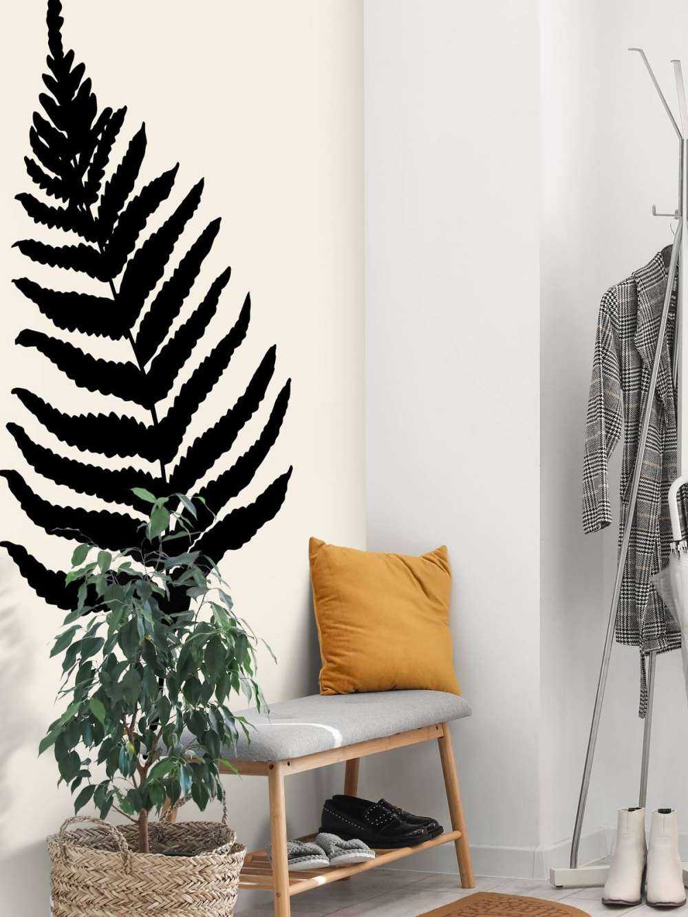 Fern