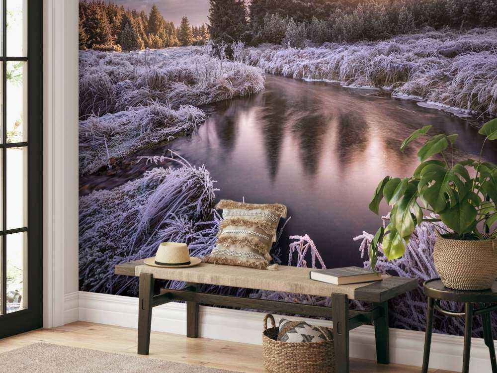 Frosty morning at the creek...