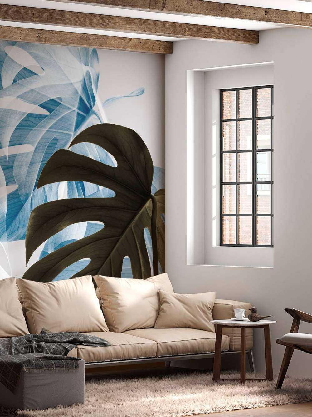 Monstera Creative 02