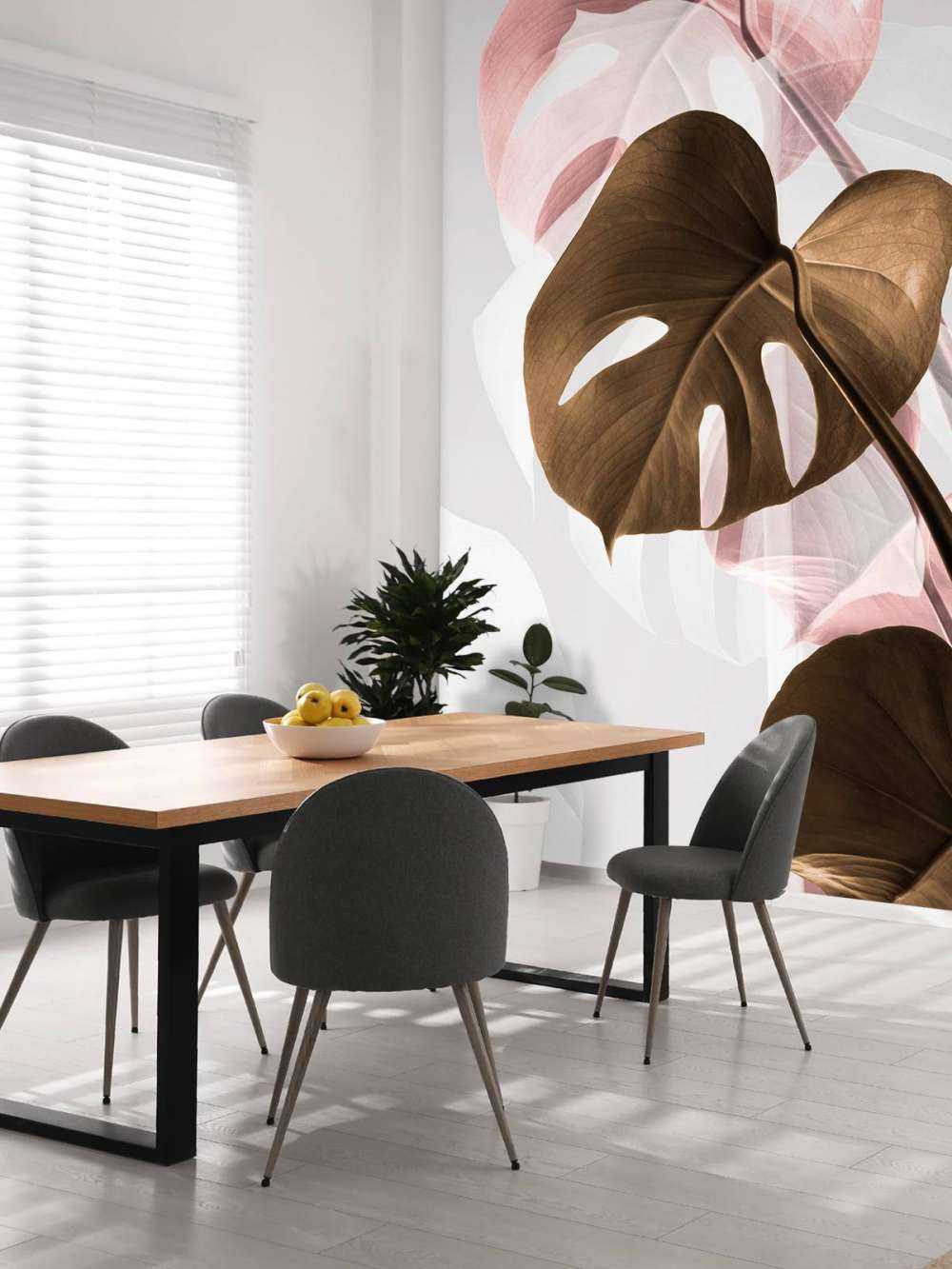 Monstera Creative 11