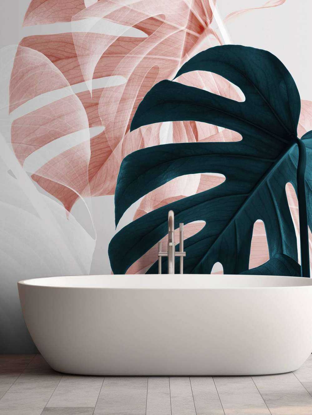 Monstera Creative 09