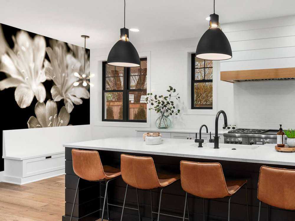 Lewisia blossom close-up