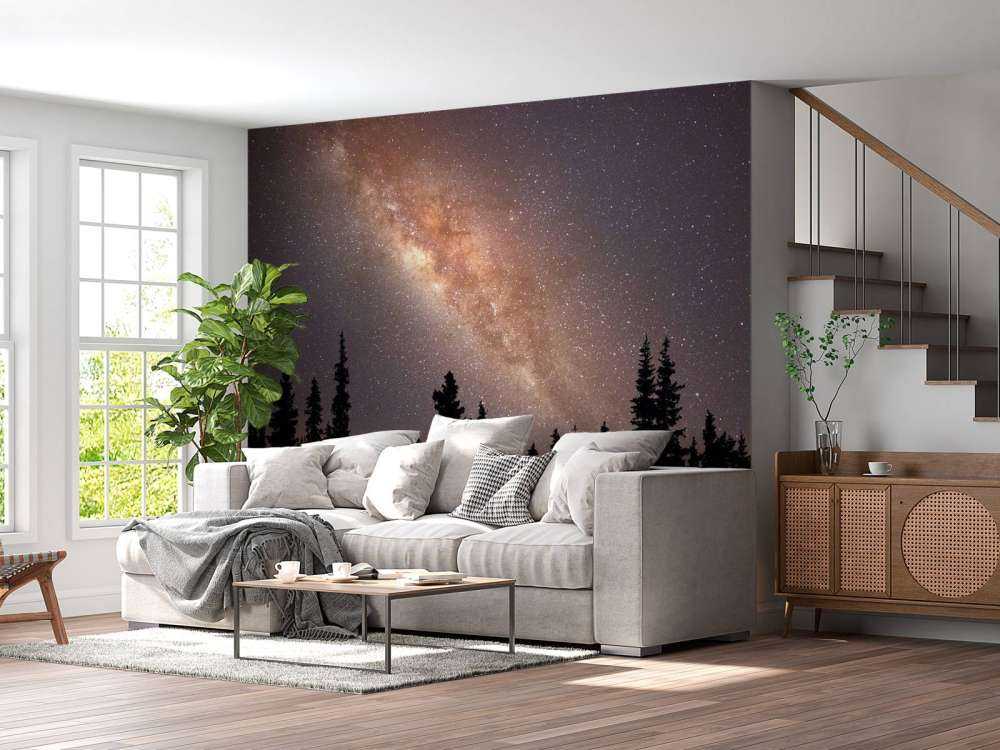 Milky way above silhouette of trees