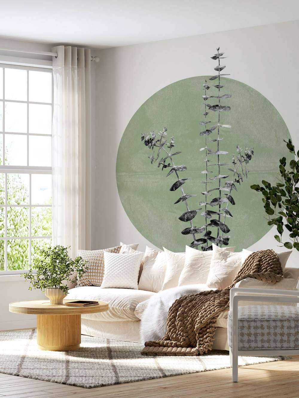 Eucalyptus and Green Moon