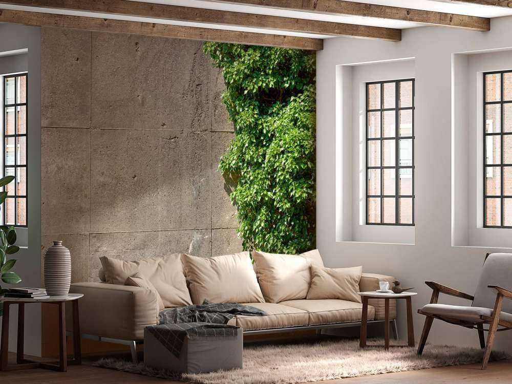 Concrete with bush 