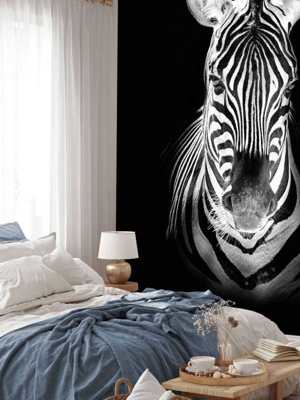 Close-up zebra black and white