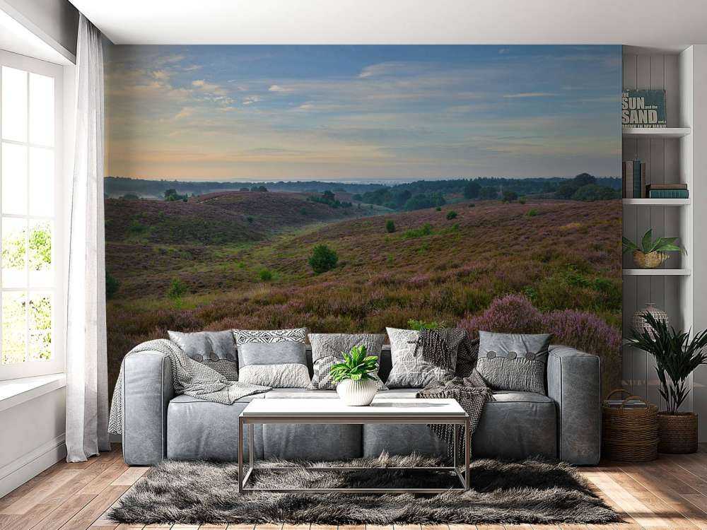 Heather in bloom