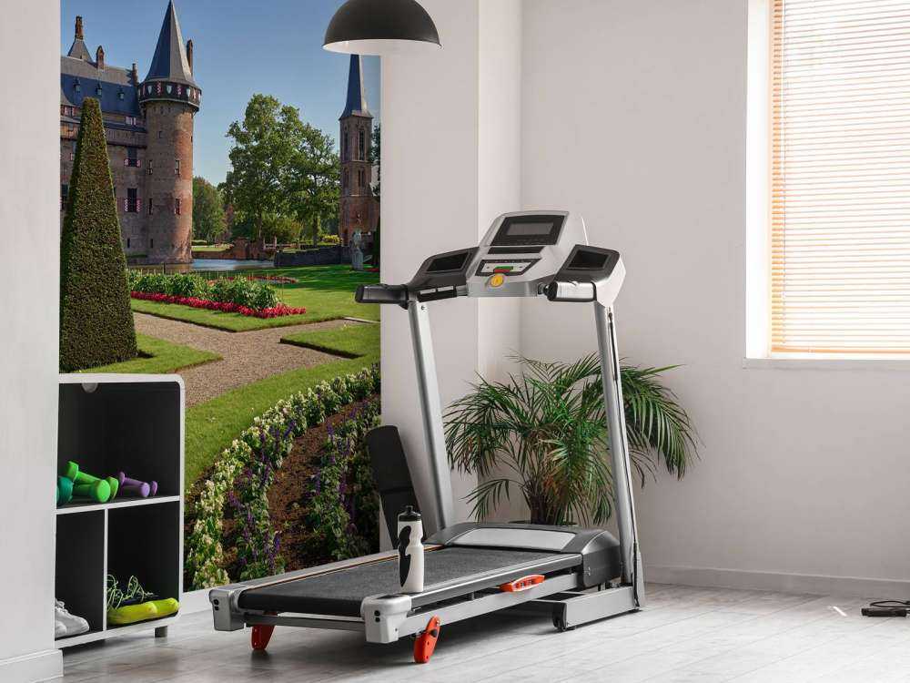 Kasteel de Haar in de zomer