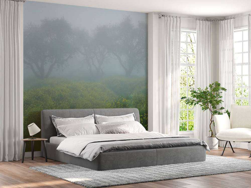 Bomen in dichte mist