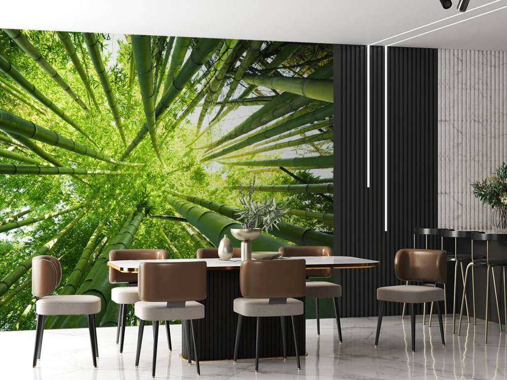 Bamboo