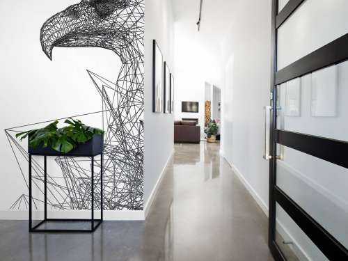 Abstract Hawk