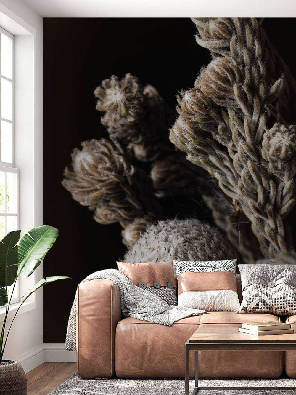 Close-up planten op zwart achtergrond