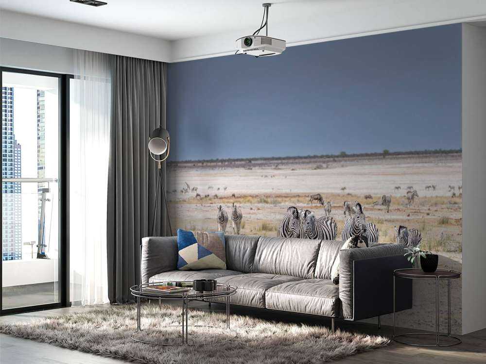 Landschap met zebra's