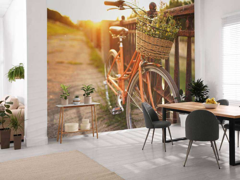 Red bike with basket