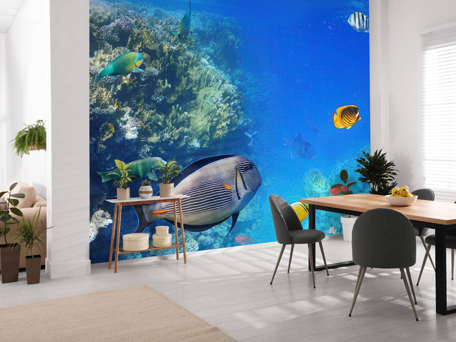 Coral reef