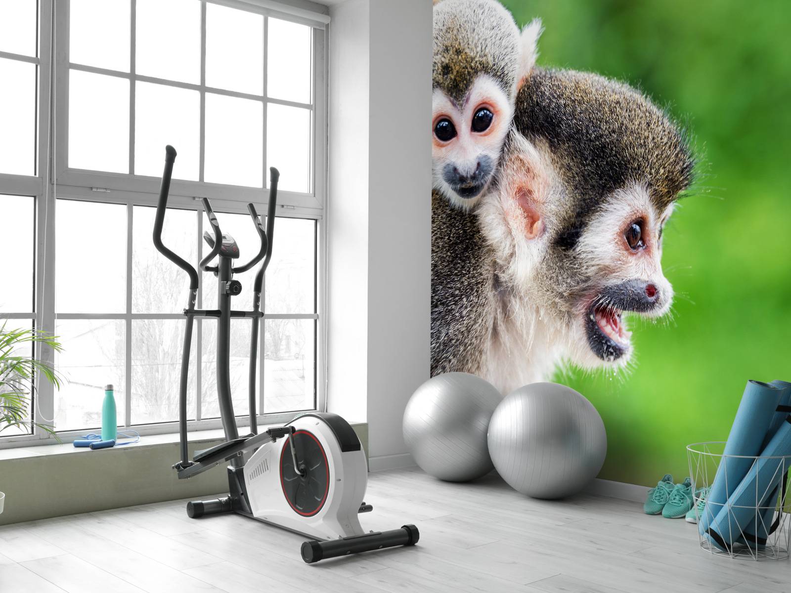 Squirrel monkeys