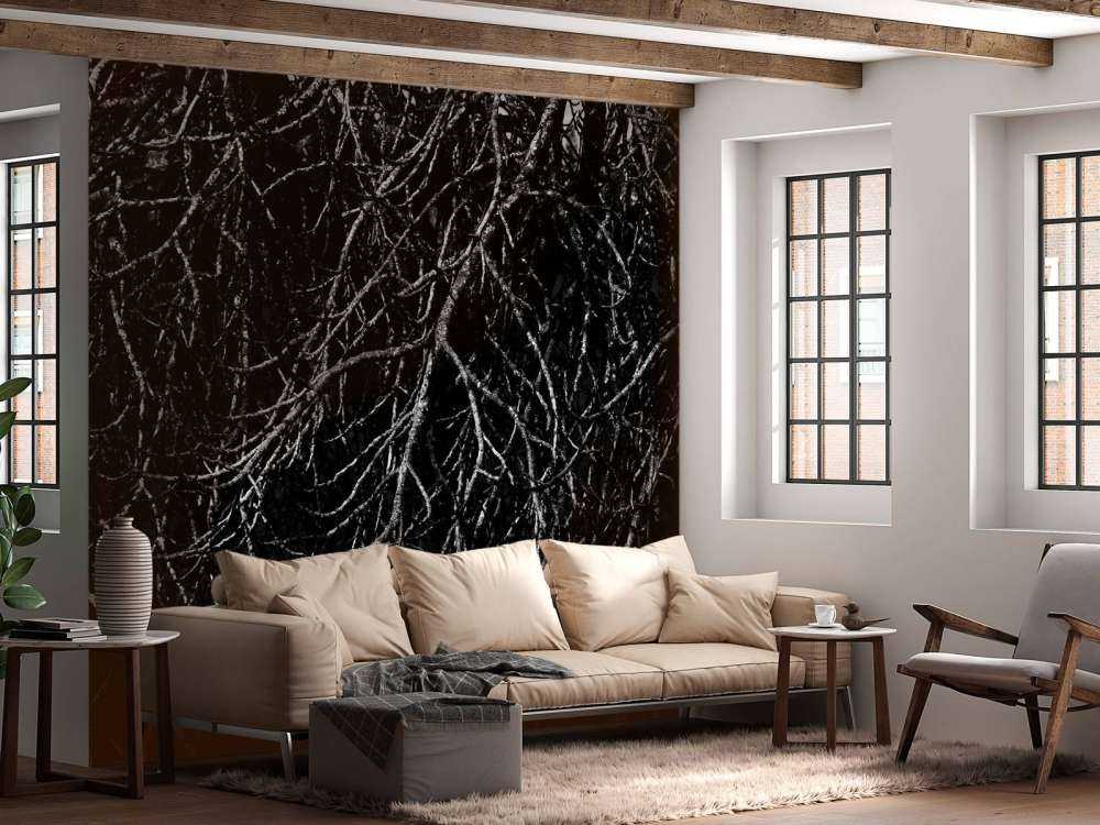 Boomtakken in zwart wit