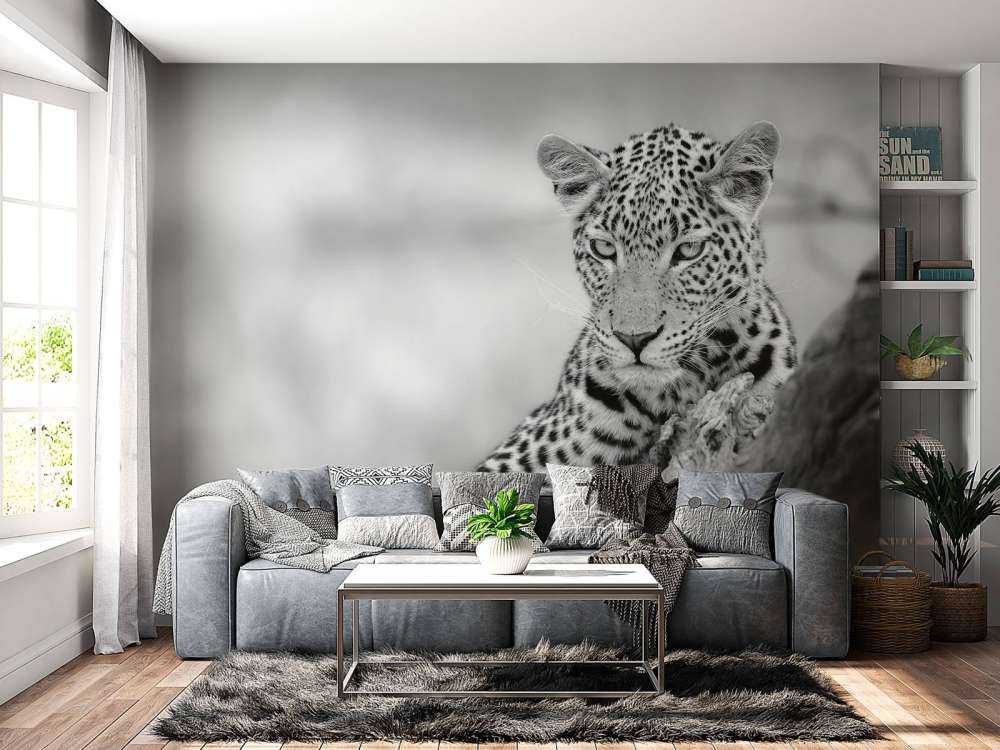 Leopard black, white