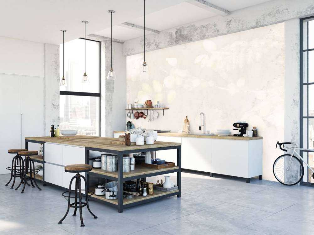 Snowberry and wild blackberry - shadow play