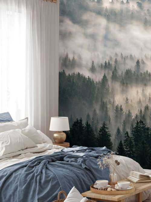 Pine trees and fog