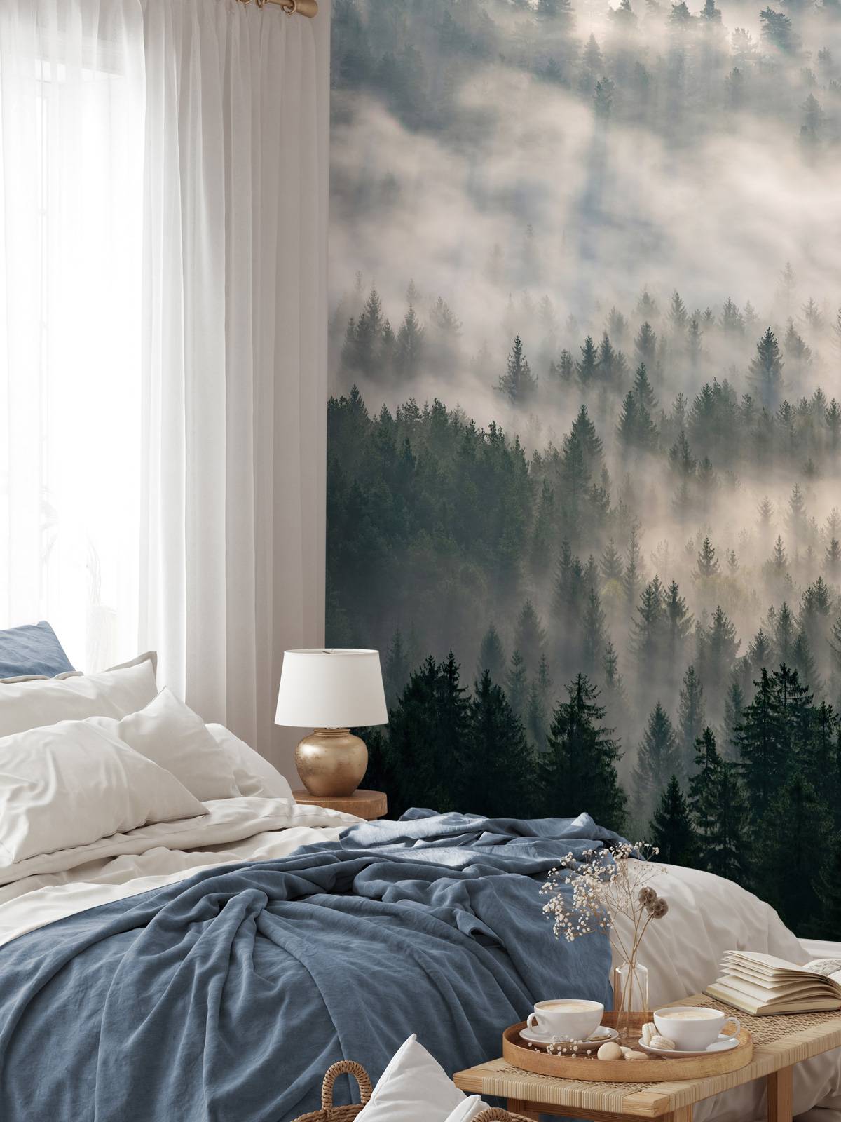 Pine trees and fog