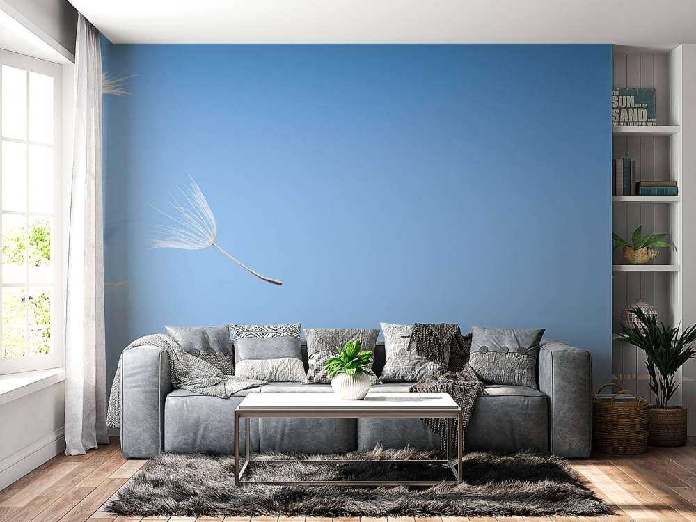 Flying dandelion fluff