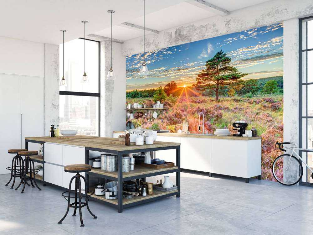 Sunset in the country