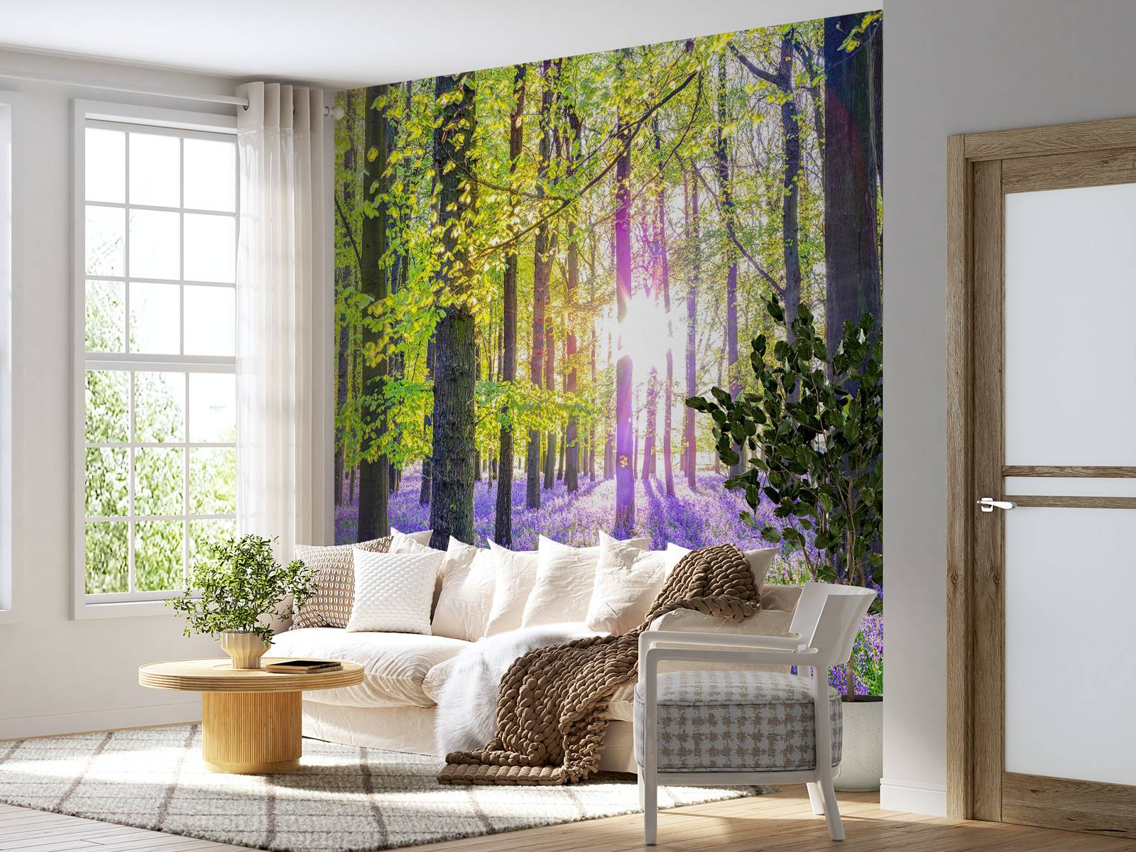 Colourful forest