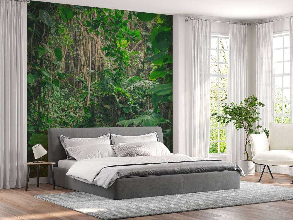 Branches in the rainforest