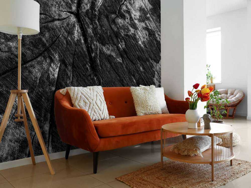 Zwart-witte boomstronk