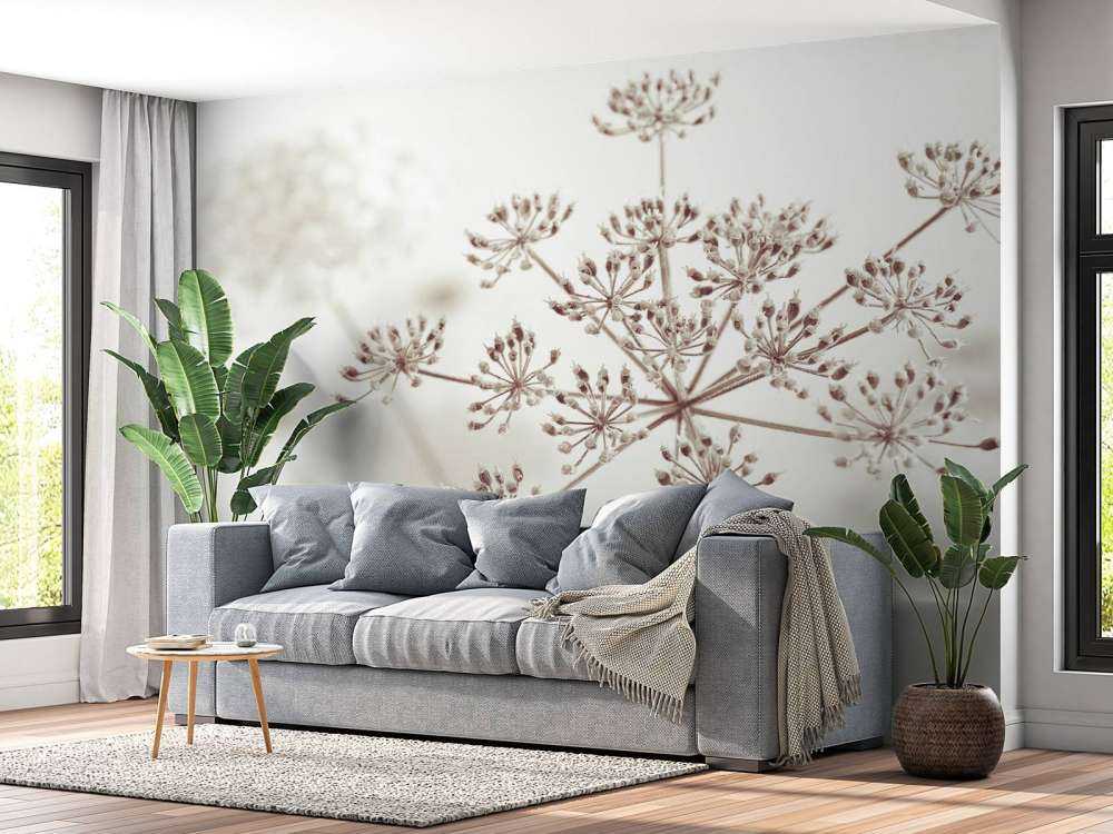 Close-up cow parsley