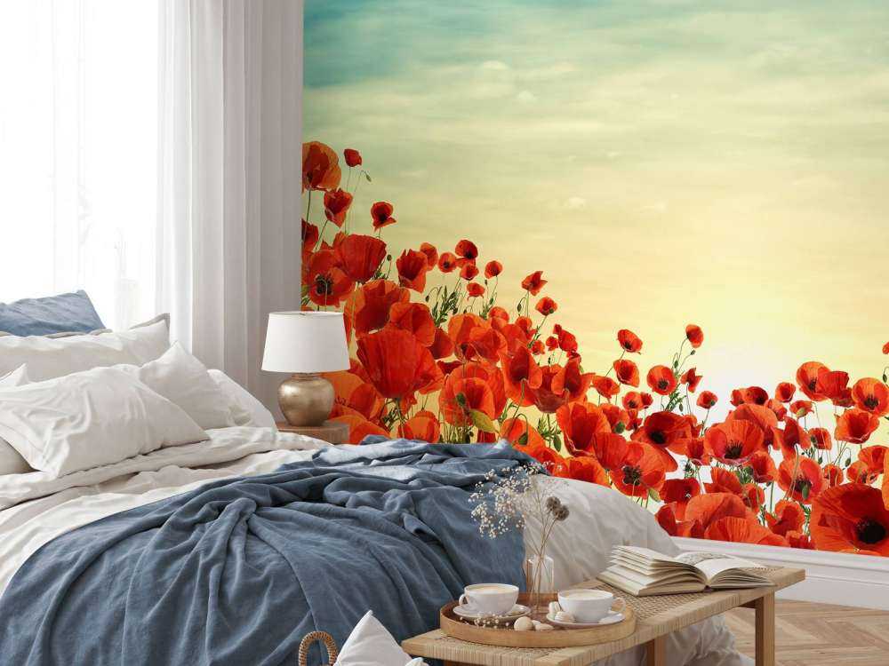 Poppies with sunset