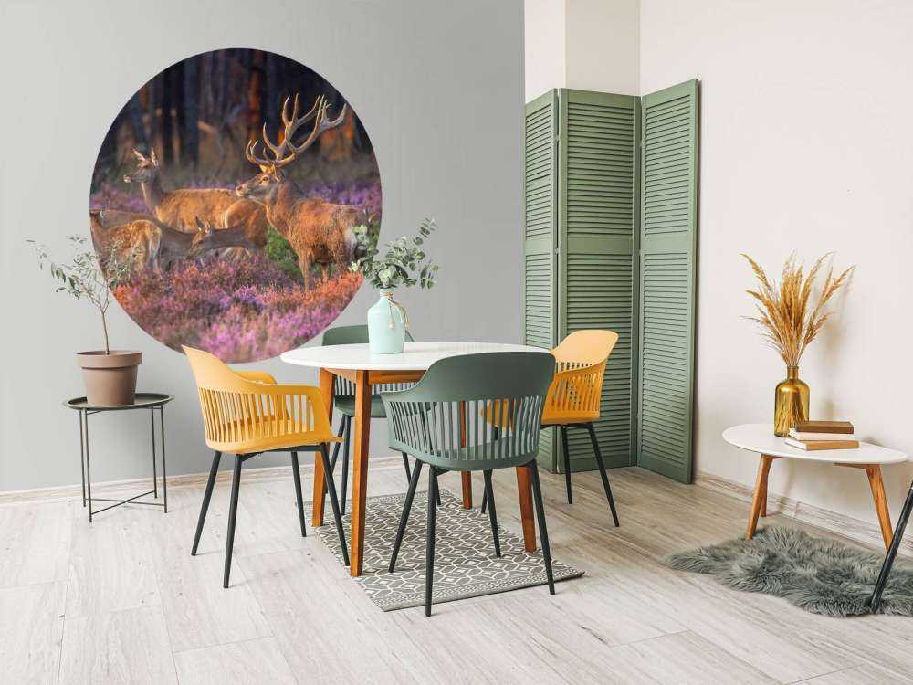 Groep herten op de Veluwe